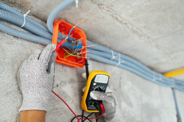 Best Electric Panel Repair  in Loveland Park, OH